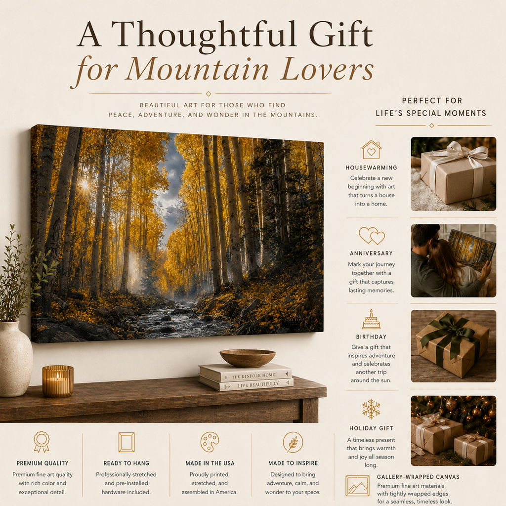 Fall Aspen Creek Canvas Print, Colorado Mountain Forest Wall Art